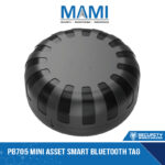 PB705 Mini Asset smart bluetooth Tag