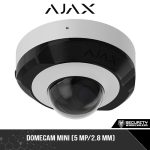 DomeCam Mini (5 Mp/2.8 mm)
